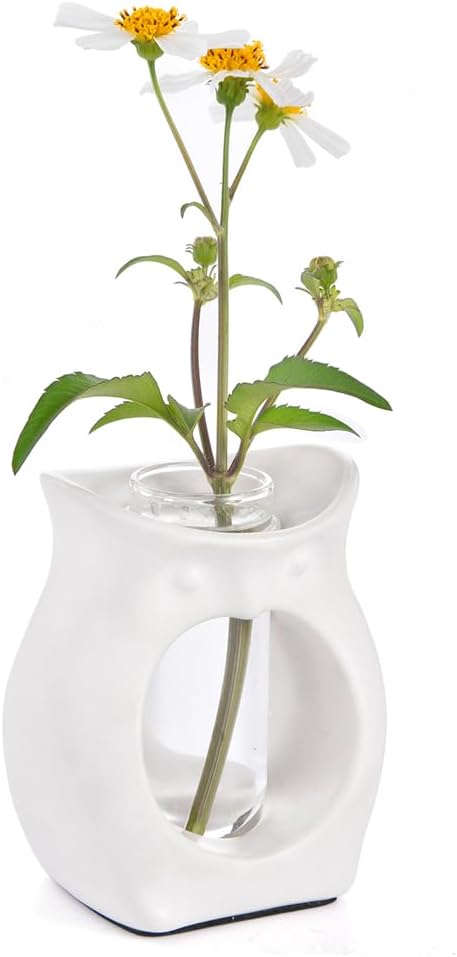 ORGJ Owl Propagation Vase for Plants - Handcrafted Ceramic with Removable Glass Tube, 2-in-1 Hydroponic Planter & Aroma Diffuser, Plant Terrarium Decor Gifts for Plant Lovers Office Desk