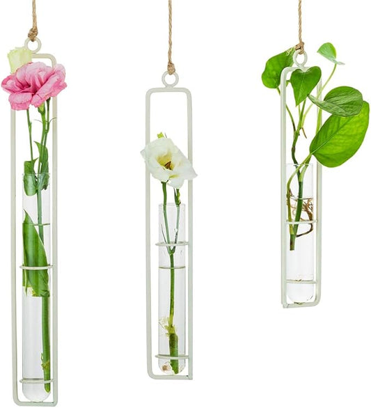 Sziqiqi Hanging Clear Glass Propagation Station Tube Vases for Cuttings, Buds, Greenery Hydroponic Plant Propagation Home Balcony Bath Wall Decoration Floral Container Set of 3 Ivory