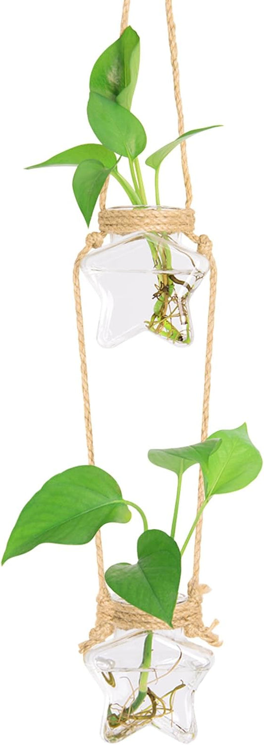 XXXFLOWER Wall Hanging Propagation Station，2 Tiers Star Shaped Glass Flower Vase for Hydroponic Planter Terrarium for Plant Cutting Home Office Living Room Garden Decor
