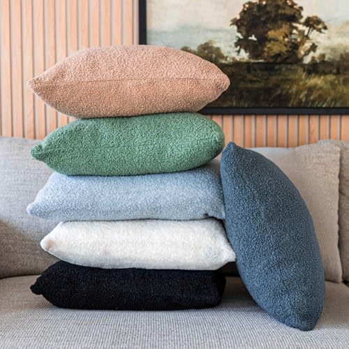 SAMIAH LUXE Brown Teddy Boucle Pillow Covers 20x20 2pcs for Home Living Room Decor, Sherpa Textured Decorative Throw Pillow Covers for Boho Decor, Square Throw Cushion Euro Shams for Modern Farmhouse