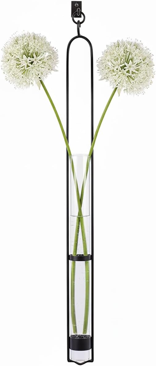 Couronne Company M046-001 Florence Hanger & Wall Hook, 31", Clear, 1 Piece