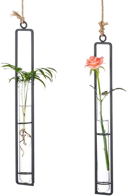 Sziqiqi Hanging Clear Glass Propagation Tube Vase for Cuttings, Hydroponic Plant Propagation Home Balcony Floral Container Wall Decoration Black 2ps (L+L)