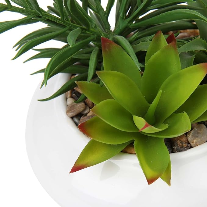 Hollyone Large Artificial Succulents Plants Faux Succulents in Pots Fake Succulent Plastic Potted Plants with White Ceramic Pot for Home Decor Office Desk Bathroom Shelf Living Room Decoration