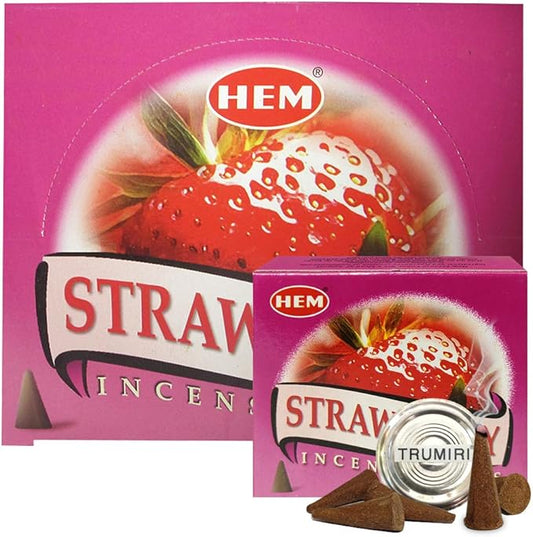 Strawberry Incense Cones and Cone Incense Burner Bundle Insence Insense Hem Incense