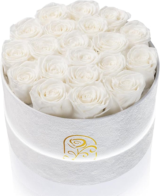 Gifts for Women Preserved Roses Flower Box, Luxury Velvet Box with 20 Roses, Preserved Flowers, Romantic Gift for Her, Wife, Girlfriend, Birthday Anniversary Christmas (White)