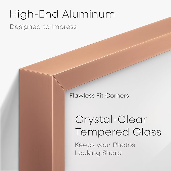 Homeforia 20x27 Picture Frame Rose Gold, High End Metal 20x27 Poster Frames with Mat 16x24 Photo, 20 x 27 Rose Gold Frame Matted to 16 by 24 Print, 27x20 Thin Frame, Tempered Glass, Wall Kit, Set of 1