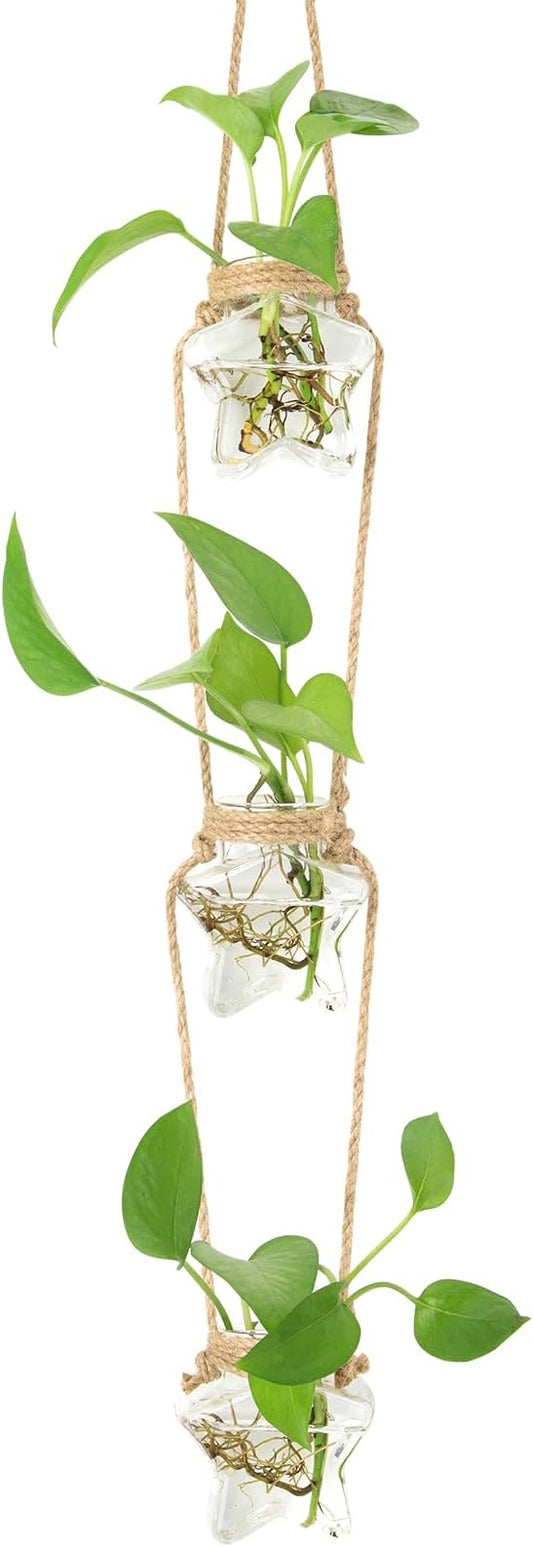 XXXFLOWER Wall Hanging Propagation Station，3 Tiers Star Shaped Glass Flower Vase for Hydroponic Planter Terrarium for Plant Cutting Home Office Living Room Garden Decor