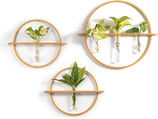 Plant Propagation Stations - Set of 3 Bamboo Wall Planters for Indoor Plants with 5 Glass Plant Propagation Tubes | Propagation Vases for Plants | Aesthetic Plant Wall Decor