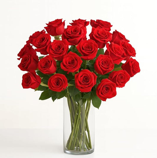 BloomsyBox - Red Roses - 24 Long Stems,Long Lasting, Hand-Tied in Eco-friendly,Vase Not Included, Fresh Flowers for Delivery – Gift for Birthday, Anniversary,Congratulations, Wedding