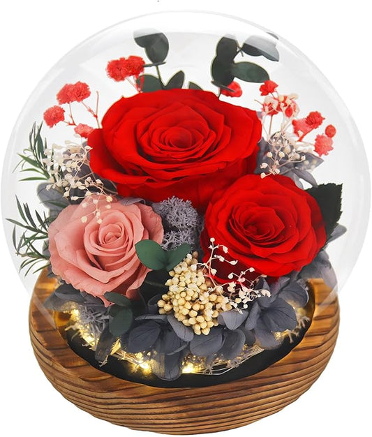 FIACO Valentines Gifts for Her Preserved Flowers in Glass Dome Long-Lasting Eternal Roses Birthday Gifts for Women Mom Grandma Wife Girlfriend Red Forever Flowers for Delivery Prime
