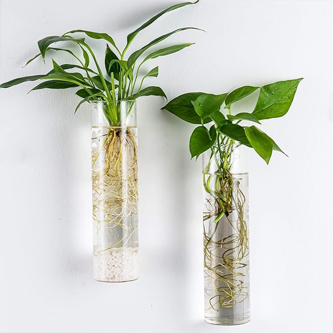 Kingbuy Wall-Mounted Plant Terrarium Propagation Station - 2 Cylinder Hanging Glass Tubes Planter for Hydroponic Plants, Indoor Wall Vases & Decorative Plant Holder Bathroom Office Living Room Decor