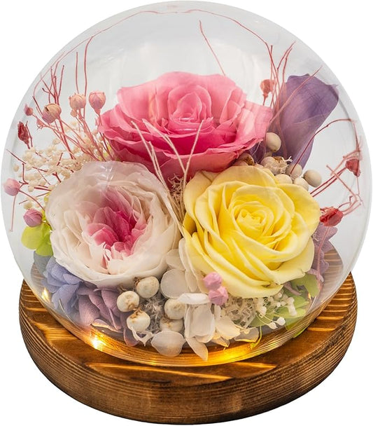 Eternal Flowers for Decoration: Preserved Flowers in Glass Dome, Unique Forever Flower Gift for Her BBF – Perfect flower arrangement for Home Décor - Flowers for Delivery Prime (Red)