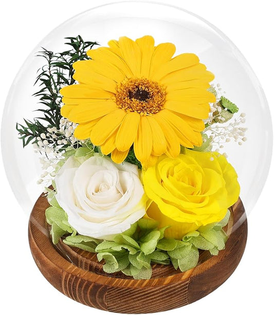 FIACO Sunflower Gifts for Women Preserved Forever Flower Rose in Glass Fresh Flowers for Delivery Mothers Day Birthday Gifts for Mom Grandma Sister Wife Yellow Sunflower Decor