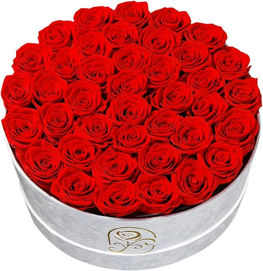 Gifts for Women Preserved Roses Flower Box, Luxury Velvet Box with 40 Roses, Preserved Flowers, Romantic Gift for Her, Wife, Girlfriend, Birthday Anniversary Christmas (Red)