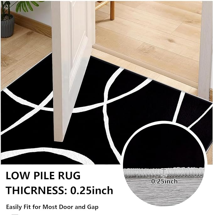 Black and White Rugs, Abstract Rug, Modern Minimalist Rug, Curved Line Design Carpet, Black and White Abstract Rugs Washable Non Slip for Living Room Home Decor 4x5