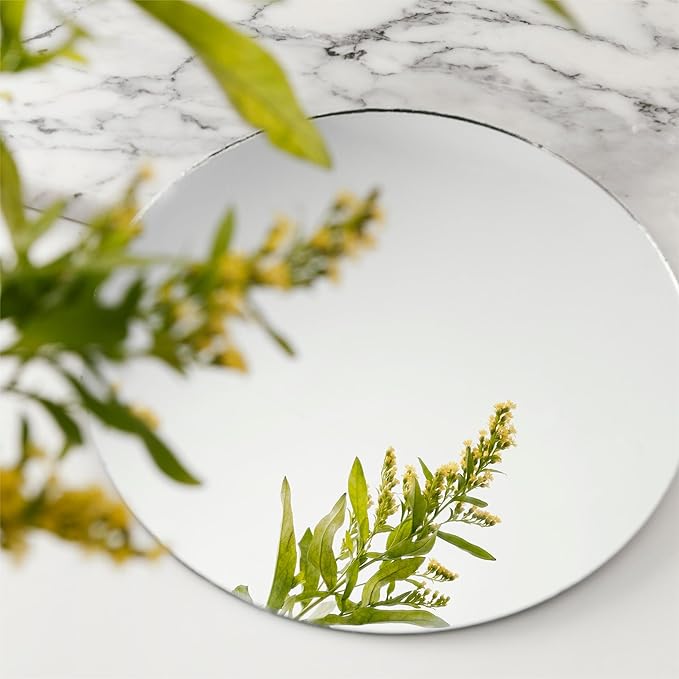 Round Acrylic Mirrors for Centerpieces 10 PCS Circle Mirror Candle Trays 12Inch 1.6mm Round Mirror Trays for Wall Decor,Table Centerpieces,Wedding Party Decorations(Acrylic Material)
