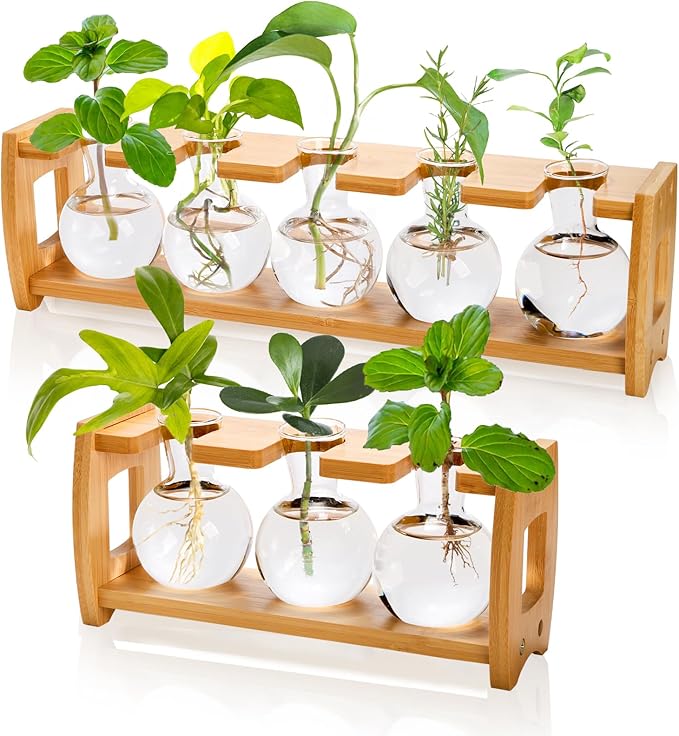 2 Pack Propagation Stations with Bamboo Stand, 8 Bulbs Desktop Water Plant Terrarium Vase, Retro Plant Propagation Jars for Indoor Plants, Glass Planter Gifts for Home Office Table Decor