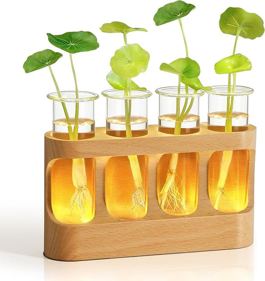 Plant Propagation Station with LED Light – Glass Test Tube Vases & Beech Wood Desk Decor, Wooden Stand Terrarium for Indoor Home Office, Plant Gifts for Women Plant Lovers