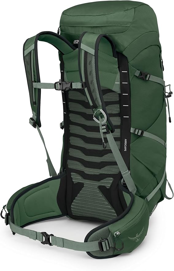 Osprey Talon 33L Men's Lightweight Hiking Backpack - Daypack for Travel & Camping, Green Canopy/Pine Leaf