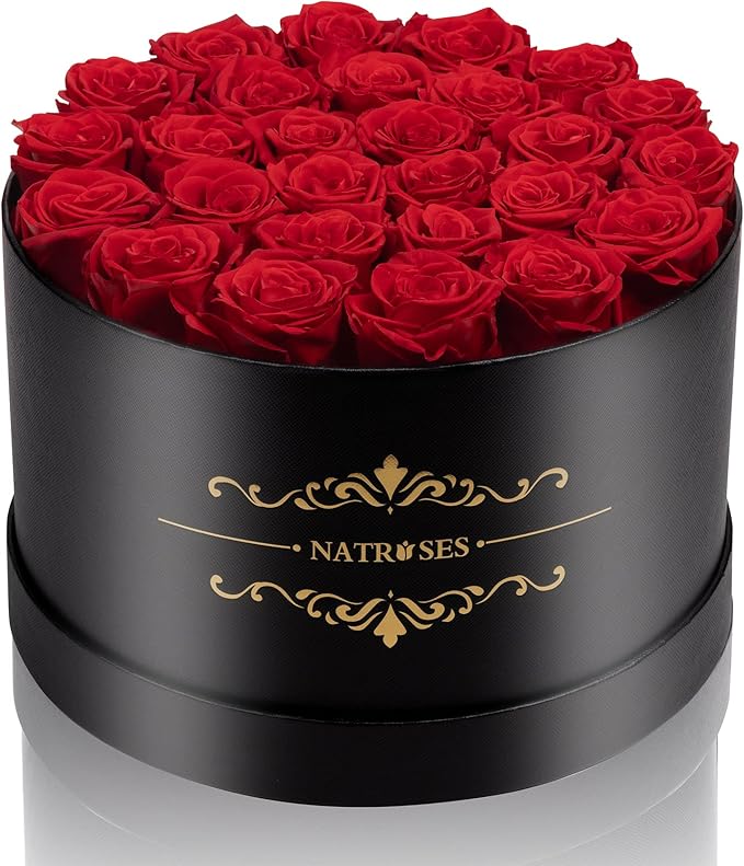 NATROSES 27 Piece Forever Preserved Roses in a Box, Preserved Flowers for Delivery Birthday, Flowers Gifts for Mothers Day, Red