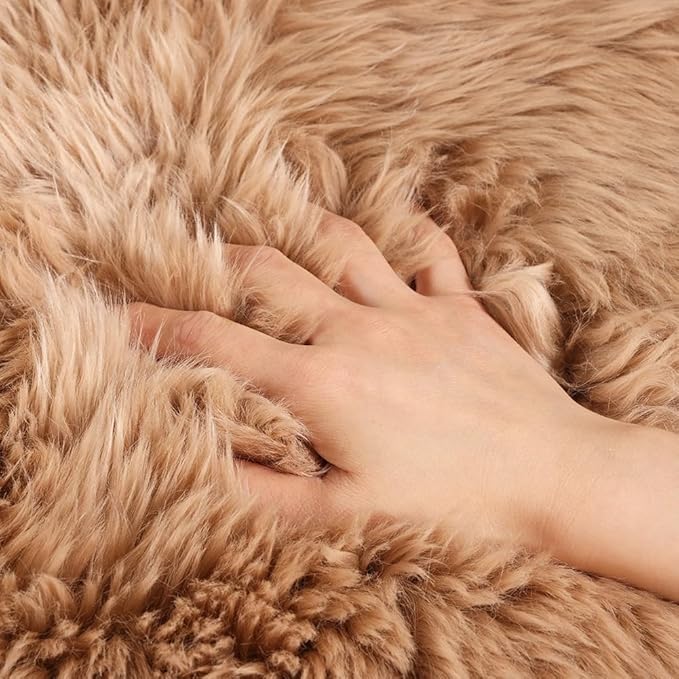 WL&ALLEN Large Sheepskin Rug Genuine Thick and Lush 3 Inch Pile，Luxury Australian Pelts |Large Sheepskin Wool Area Rugs (Double Pelt 2'6" x 6'6",Light Brown)
