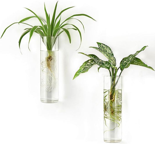 Mkono Propagation Station Wall Planter Hanging Glass Tubes Flower Vase for Hydroponics Plants, Bathroom, Home Office Living Room Decor Gift, Cylinder Set of 2
