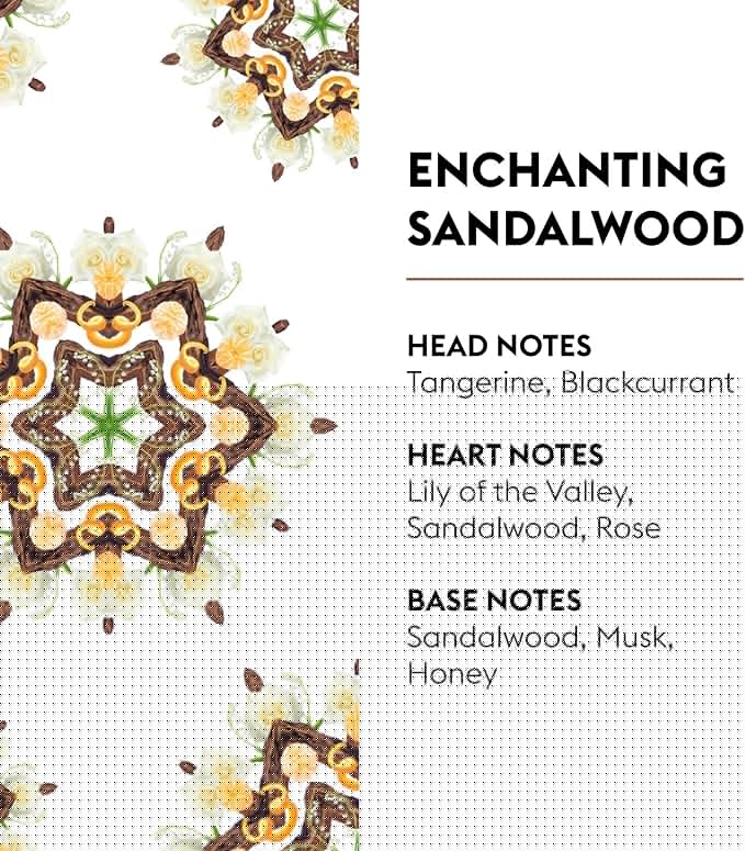 Enchanting Sandalwood - Lampe Berger Fragrance Refill for Home Fragrance Oil Diffuser - 16.9 Fluid Ounces - 500 milliliters