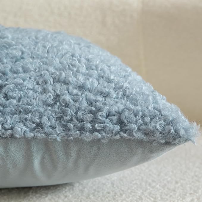Yaertun Pack of 2 Faux Fur Throw Pillow Covers Decorative Sherpa Boucle Pillow Covers Fuzzy Soft Pillowcases Sheepskin Fleece Cushion Case for Couch Sofa Bed Living Room 20x20 Inch Light Blue