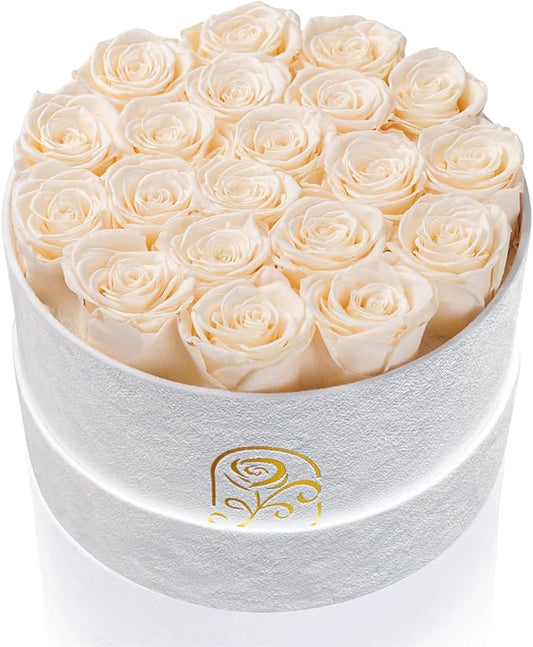 Gifts for Women Preserved Roses Flower Box, Luxury Velvet Box with 20 Roses, Preserved Flowers, Romantic Gift for Her, Wife, Girlfriend, Birthday Anniversary Christmas (Buttermilk)