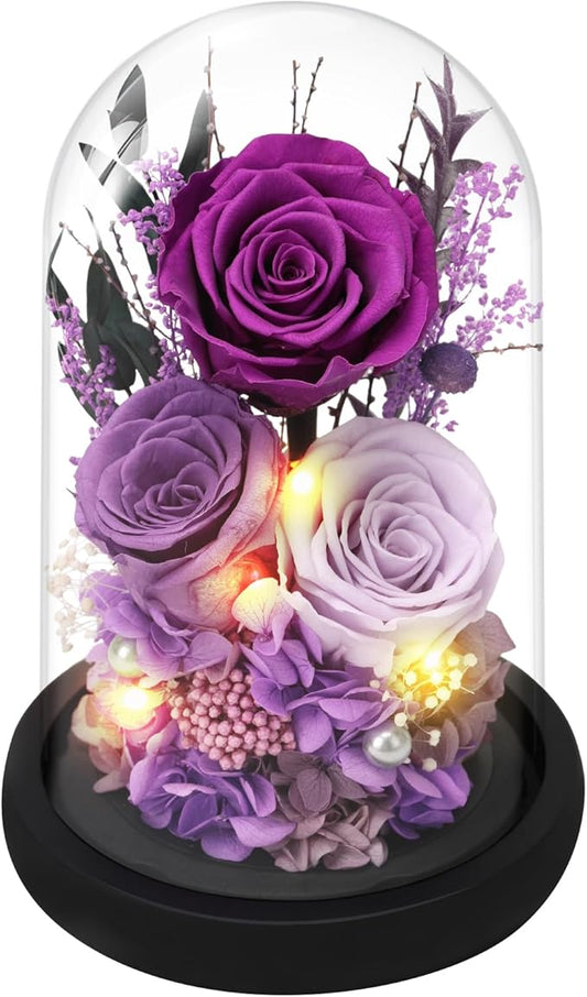 Casaido Preserved Roses Flowers for Delivery, Purple Forever Flores in Glass Dome for Women Mom Wife Girlfriend Grandma, Eternal Rose Anniversary Birthday Gift for Mothers Day Valentines Christmas