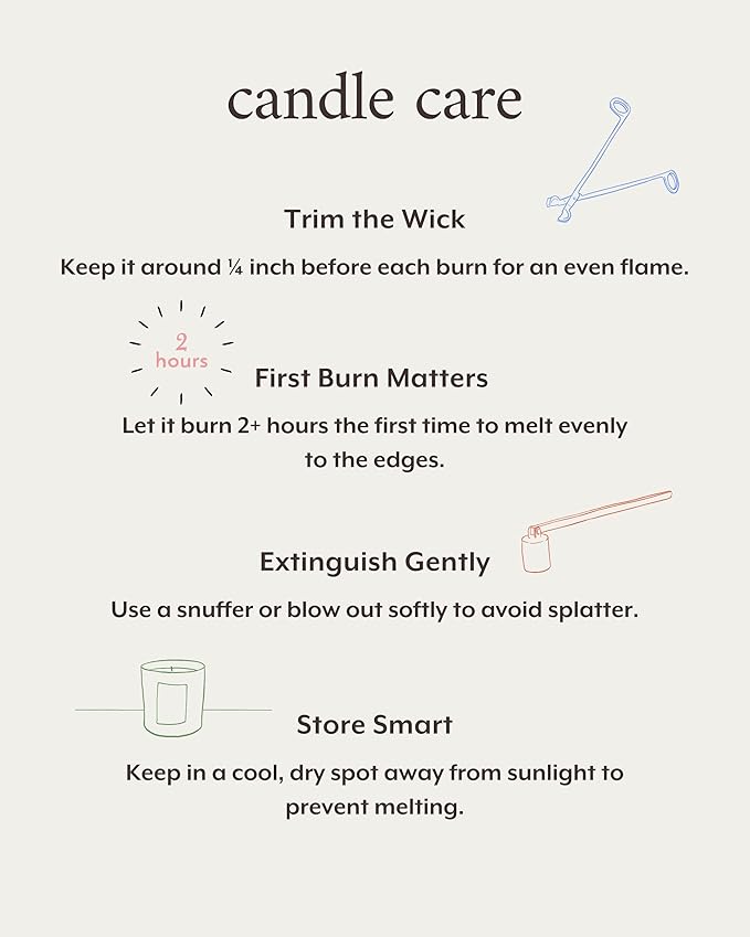 Literie NYC Inspired Scented Candle: Hot Roasted Nut Cart - Burnt Sugar Scent, 9oz, 50 Hour Burn, Vegan Soy & Coconut Blend Candle for Home Decor, Gift for Women & Men