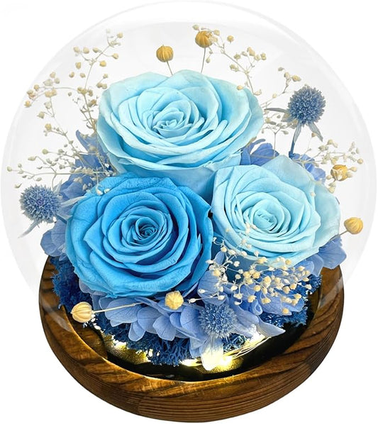 FIACO Valentines Gifts for Her Preserved Flowers in Glass Dome Long-Lasting Eternal Roses Birthday Gifts for Women Mom Grandma Wife Girlfriend Blue Forever Flowers for Delivery Prime