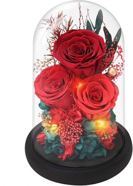 Casaido Preserved Roses Flowers for Delivery, Red Forever Flores in Glass Dome for Women Mom Wife Girlfriend Grandma, Eternal Rose Anniversary Birthday Gift for Mothers Day Valentines Christmas