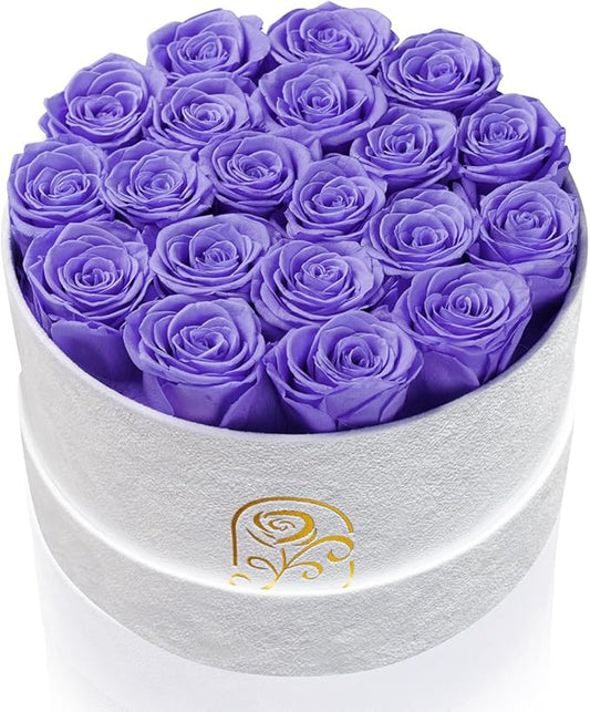 Gifts for Women Preserved Roses Flower Box, Luxury Velvet Box with 20 Roses, Preserved Flowers, Romantic Gift for Her, Wife, Girlfriend, Birthday Anniversary Christmas (Light Purple)