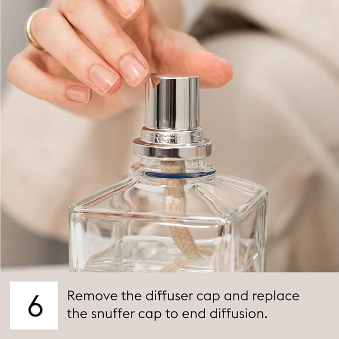 Charleston | Lampe Berger Fragrance Refill by Maison Berger | for Home Fragrance Oil Diffuser | Purifying and perfuming Your Home | 16.9 Fluid Ounces - 500 milliliters | Made in France