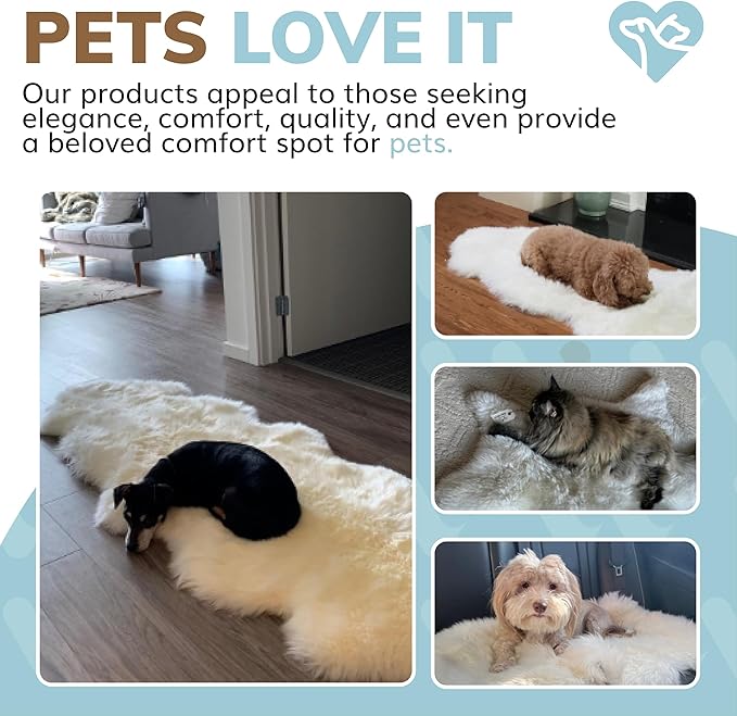 WaySoft New Zealand Sheepskin Area Rug – Genuine Fluffy Wool, Multiple Sizes, Bedroom or Living Room Decor(2ft x 6ft,Ivory)