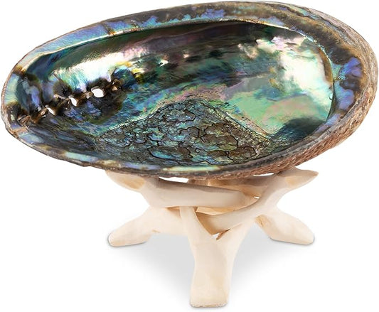 Wish Well Natural Abalone Shell 5-6 Inch Large with Wooden Stand - Incense Holder and Sage Smudge Bowl for Cleansing, Smudging, and Meditation - Palo Santo Holder & Beautiful Home Decor
