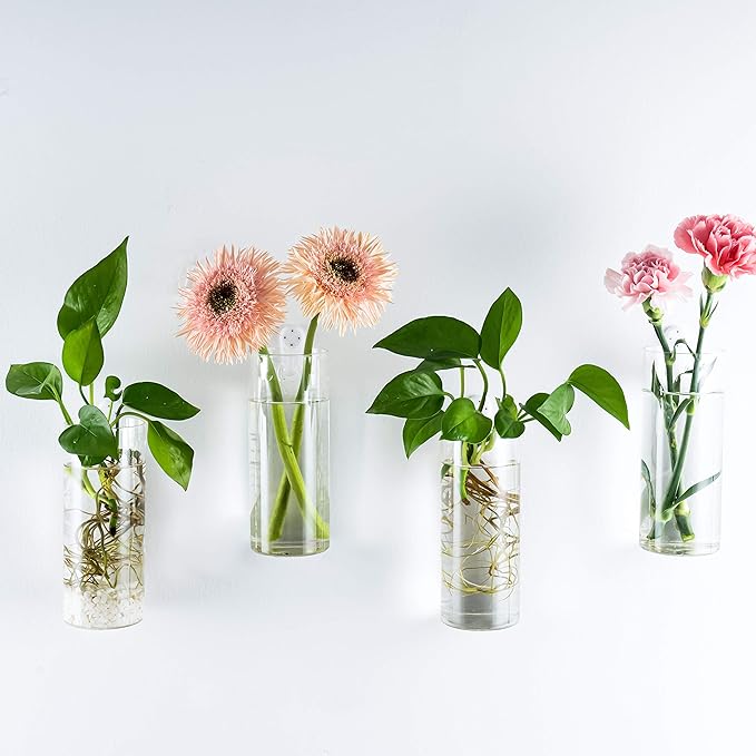 Kingbuy Glass Tube Wall Planter Propagation Station - 4 Pack Terrarium Cylinder Wall Vase with Plant Holder Hydroponic Planter for Home Kitchen Office Decor, Perfect Plant Lover Gifts (Short Cylinder)
