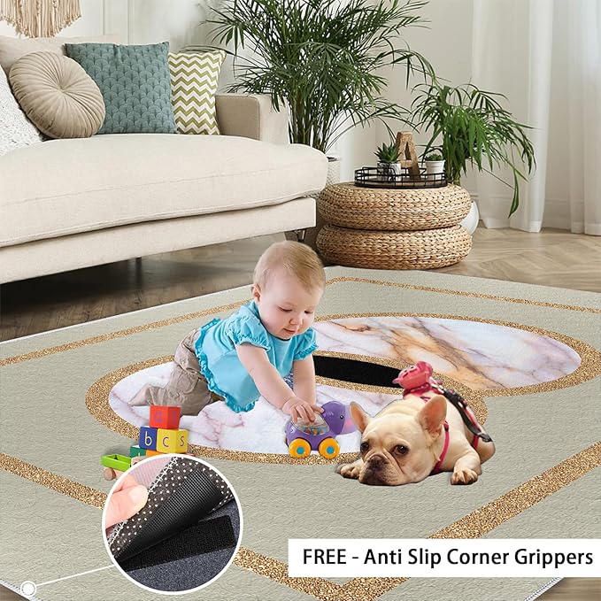 Abstract Marble Area Rugs Gilded Circle Rectangle Geometry Area Carpet Mid-Century Simple Rug Luxury Decor Rug for Living Room Door Mats Porch 5x7ft