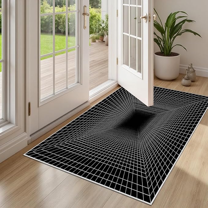 Optical Illusion Rug - Washable Rugs 3x5, Abstract Geometric Lines Soft Neutral Indoor Floor Mats Plaid Carpet, Non-Slip Stain Resistant Modern Black Rug for Bedroom, Living Room Rugs
