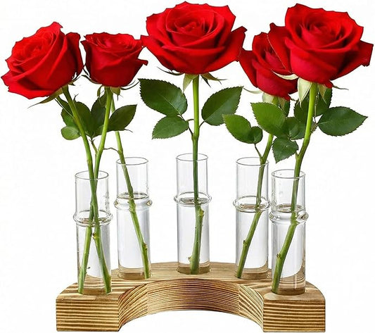 Plant Propagation Station with Wooden Stand, Valentines Day Gift, Glass Propagation Vase for Plants, Plant Terrarium Birthday Gifts for Women Mom Plants Lovers, Home Office Garden Decor, 5 Glass Tubes