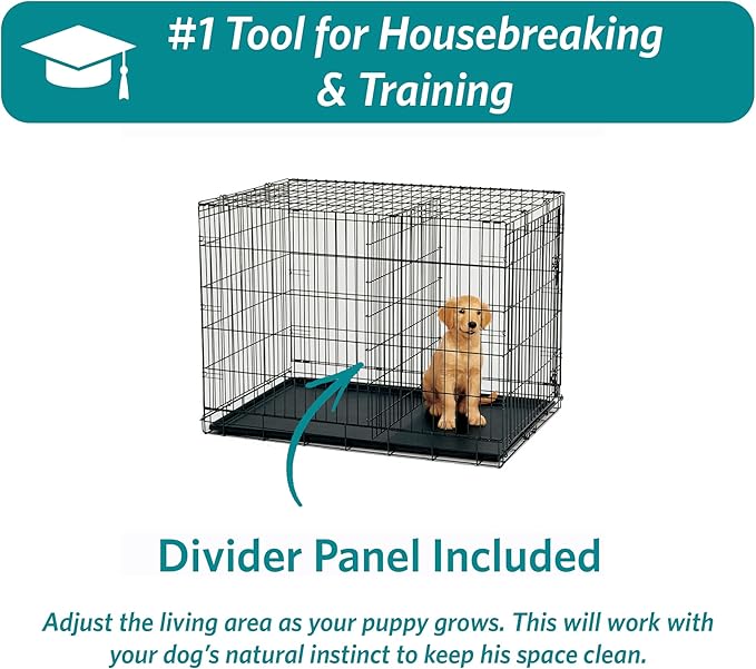 MidWest Homes for Pets 42-Inch Two-Door iCrate Folding Dog Crate with Divider Panel, Leak-Proof Tray & Secure Latches – Metal Wire Kennel for Large Breeds – Portable, Durable & Easy to Assemble