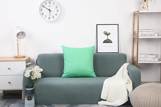 TangDepot Handmade Decorative Solid 100% Cotton Canvas Throw Pillow Covers/Cushion Covers, 45 Colors Available - (20" x20" , Mint Green, 2 Count (Pack of 1))