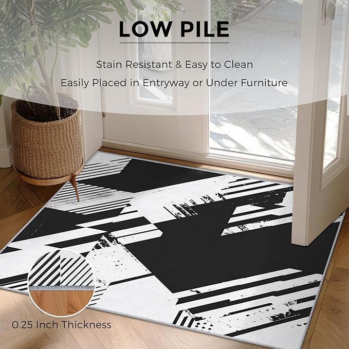 Black and White Rugs for Home Decor, 3x5 ft, Abstract Geometric Area Rugs for Living Room, Soft Non Slip Washable Modern Minimalist Carpet Bedroom Decorations Dt-Ghf-31
