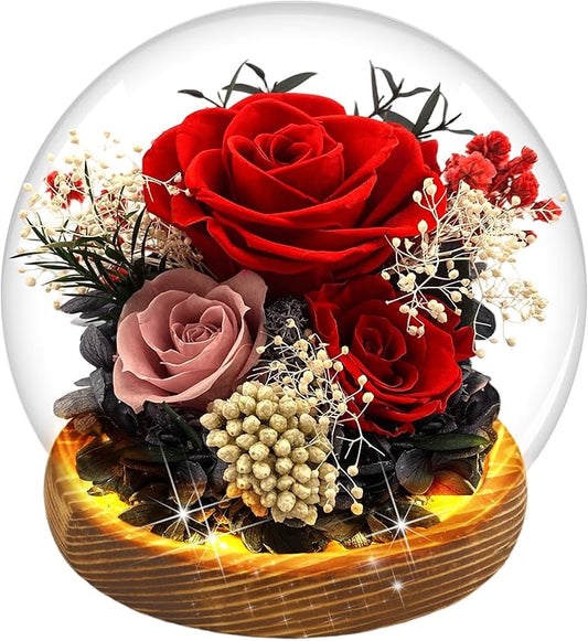 MOKOQI Red Rose Valentines Day Gifts for Her Forever Rose Flowers for Delivery Prime Preserved Flowers in Glass Dome | Birthday Gifts for Women Mom Wife Grandma on Christmas Birthday