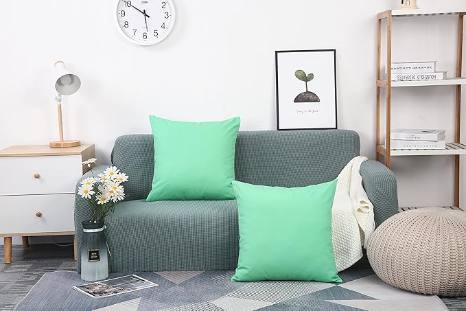 TangDepot Handmade Decorative Solid 100% Cotton Canvas Throw Pillow Covers/Cushion Covers, 45 Colors Available - (20" x20" , Mint Green, 2 Count (Pack of 1))