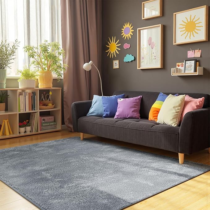jinchan Solid Plush Area Rug 4x6 Performance Shaggy Washable Rug Indoor Soft Modern Faux Wool Cozy Non Slip Carpet for Living Room Kids Room Bedroom Dining Room Nursery Grey