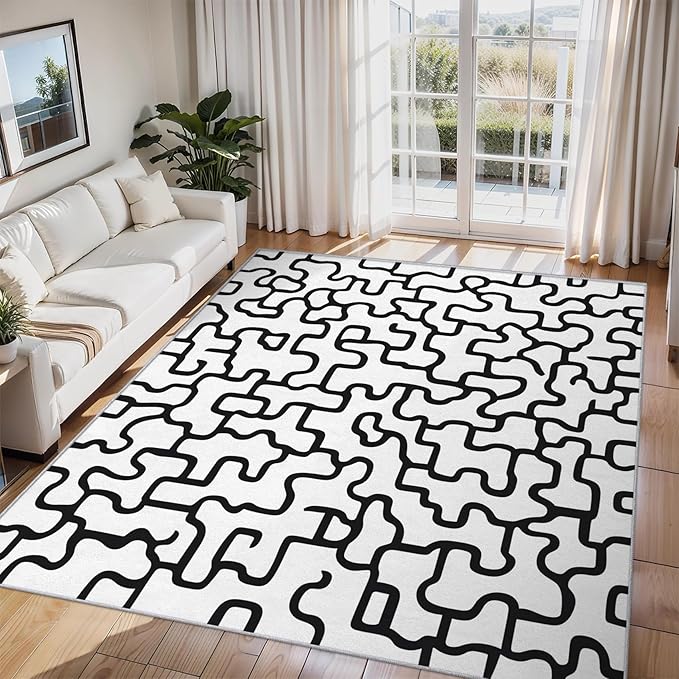 Abstract Geometric Rugs for Home Decor, 3x4 ft, Black and White Labyrinth Area Rugs for Living Room, Soft Non Slip Washable Modern Abstract Line Carpet Bedroom Decorations Dt-Ghf-31