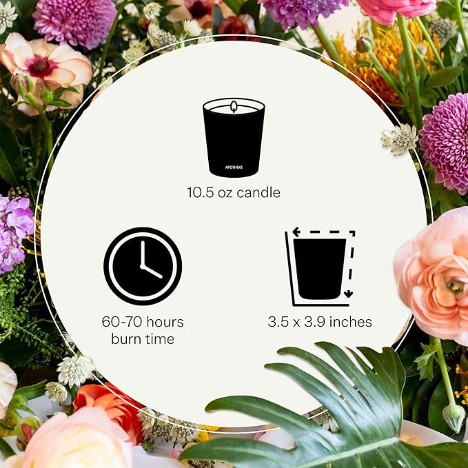 Apotheke Signature Scented Candles for Home, Cedarwood Ginger - 10.5 oz - Soy Wax, Non Toxic, Large Jar White - Luxury Candle Gifts for Women & Men - Patchouli, Red Tea, Fig, and Coconut