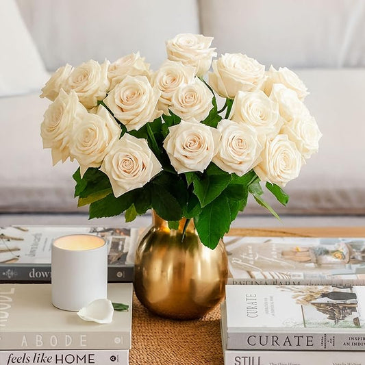 BloomsyBox - White Roses - 24 Long Stems,Long Lasting, Hand-Tied in Eco-friendly, Vase Not Included, Fresh Flowers for Delivery – Gift for Birthday, Anniversary, Get Well, Congratulations, Wedding